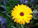 DSC01263