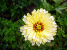 DSC01264