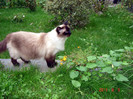 DSC01265