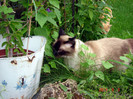 DSC01266