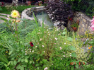 DSC01267