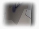 bscap13894906