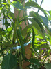 DSC02782