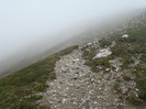 DSC08401