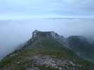 DSC08469