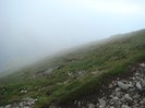 DSC08489