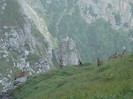 DSC08497