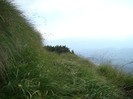 DSC08528