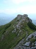DSC08536