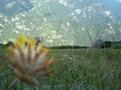 DSC08539
