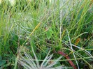 DSC08548