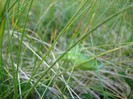 DSC08550