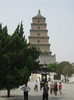 Xi'An - Pagoda Marii Gaste Salbatice