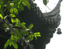 Hangzhou -  pagoda celor 6 armonii - detaliu
