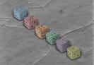 images (7)