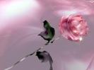 images (5)