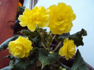 DSC03044
