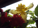 DSC03069