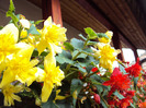 DSC03070