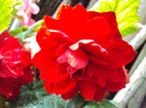DSC03100