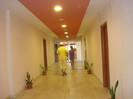 DSC01535