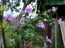 CIMG7631