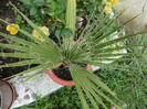 CIMG7597