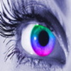 Auge