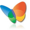 msn-butterfly