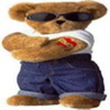 teddyattitude