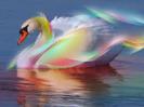 images (16)