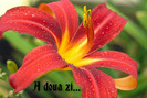 A doua zi...