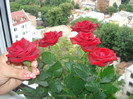 DSC01692