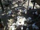 P08-08-11_15.27[1]