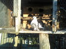 P08-08-11_19.26[4]