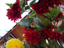 DSC03169