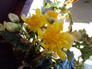 DSC03179