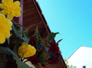 DSC03172