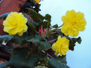 DSC03189