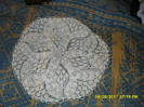 SAM_2847