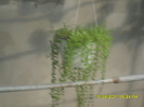 SAM_3052