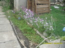 SAM_3060