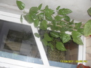 SAM_3056