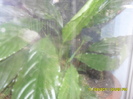 SAM_3058