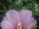 SAM_3067