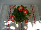 cadoul meu de ziua mea in 25 iulie 2011