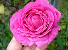 DSC02010