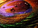 Colours_by_Bandea_photos