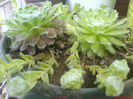 DSC01255