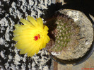 DSC01935